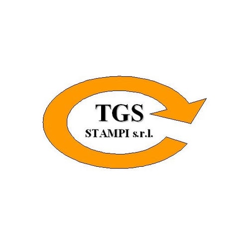 Logo TGS STAMPI Srl - Cliente Citynet Srl