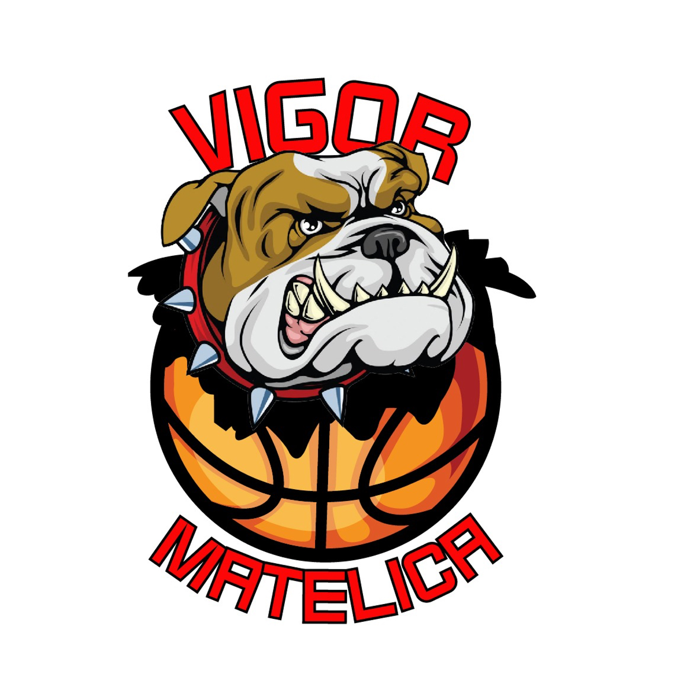 Logo Polisportiva Vigor Basket Matelica A.S.D. - Cliente Citynet Srl